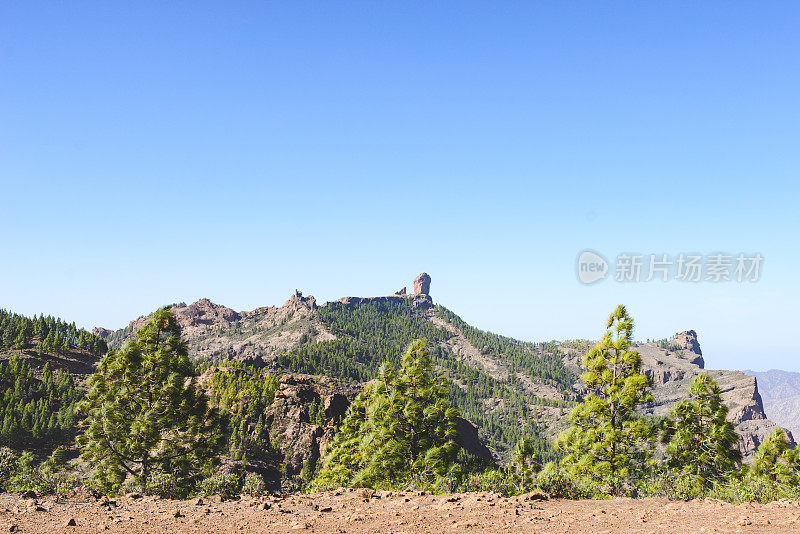 从远处看Roque Nublo